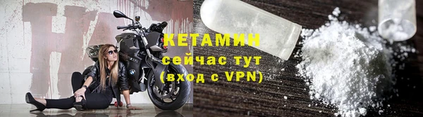 шишки Коряжма