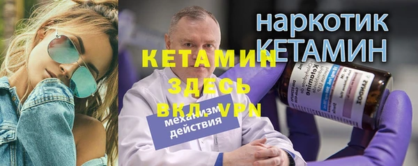 шишки Коряжма