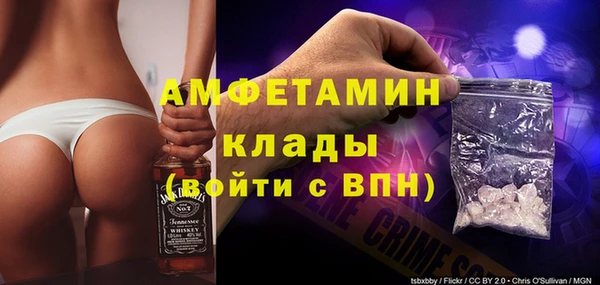 шишки Коряжма