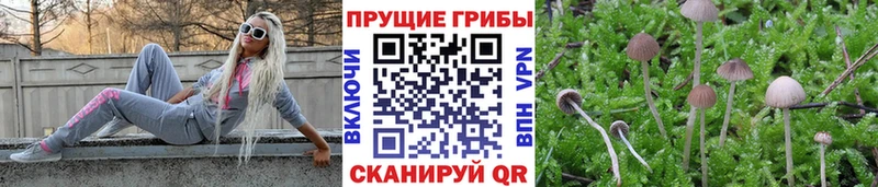 Галлюциногенные грибы мицелий Купить закладки Лермонтов